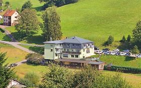 Hotel Gruener Baum Mit Restaurant & Wellness