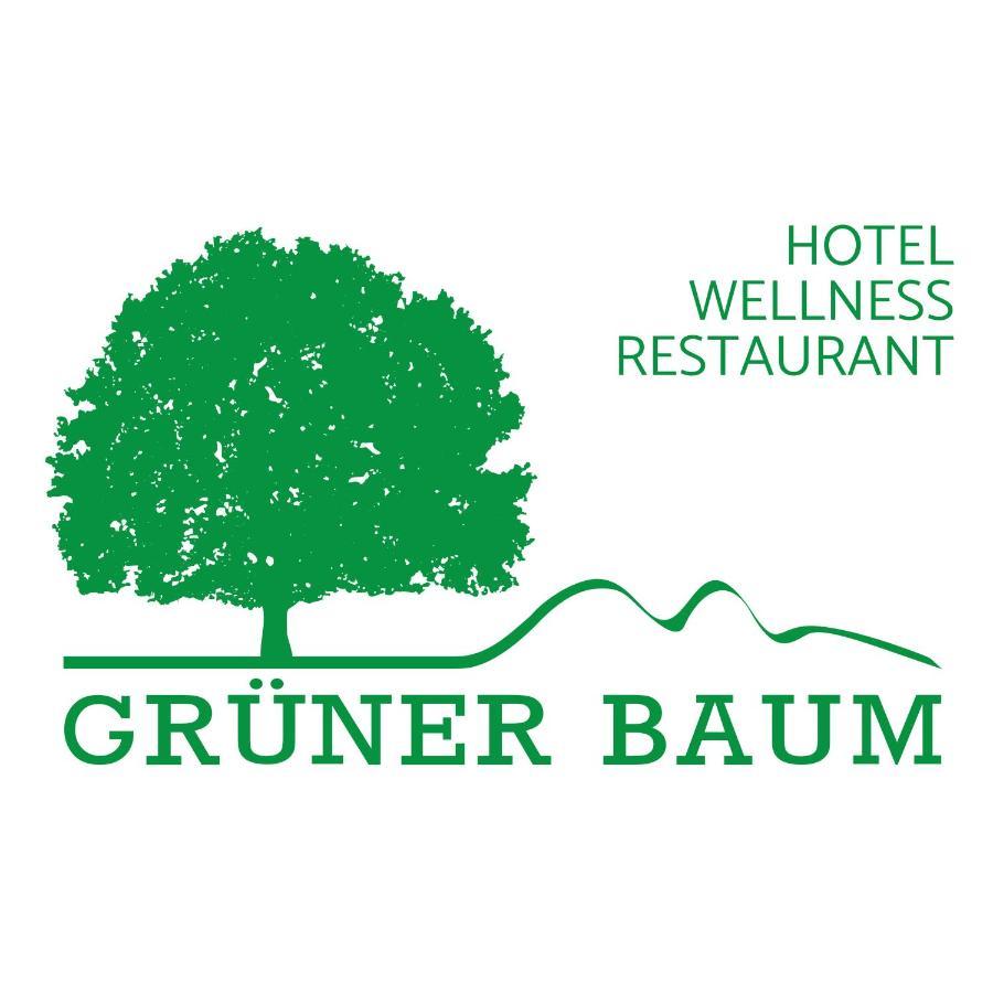 Hotel Gruener Baum Mit Restaurant & Wellness Oberzent Exterior photo