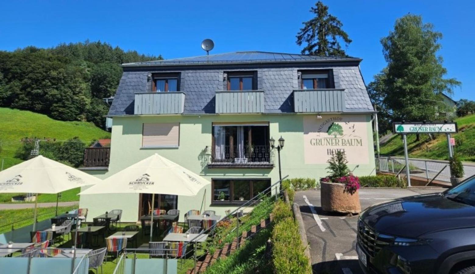 Hotel Gruener Baum Mit Restaurant & Wellness Oberzent Exterior photo