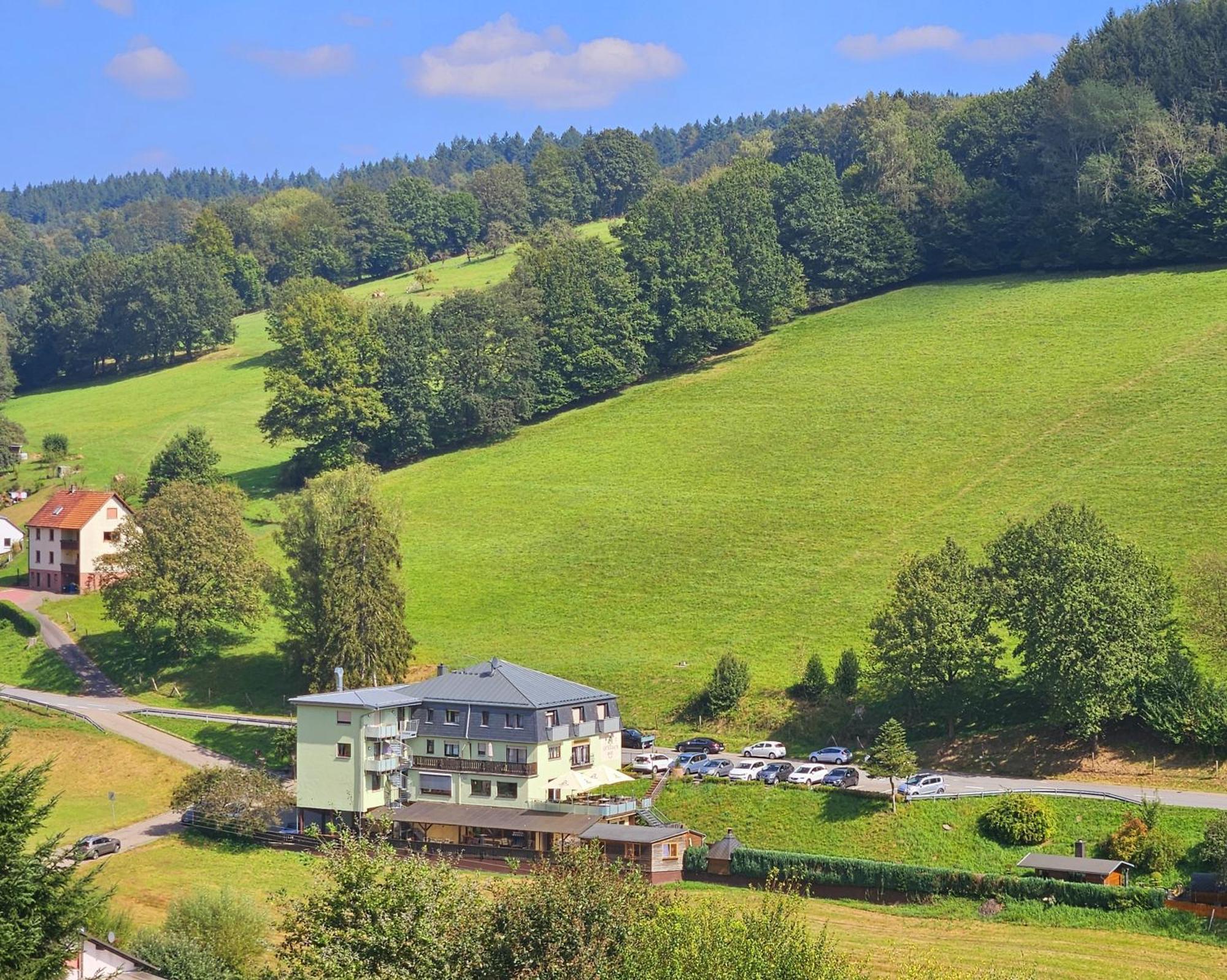 Hotel Gruener Baum Mit Restaurant & Wellness Oberzent Exterior photo