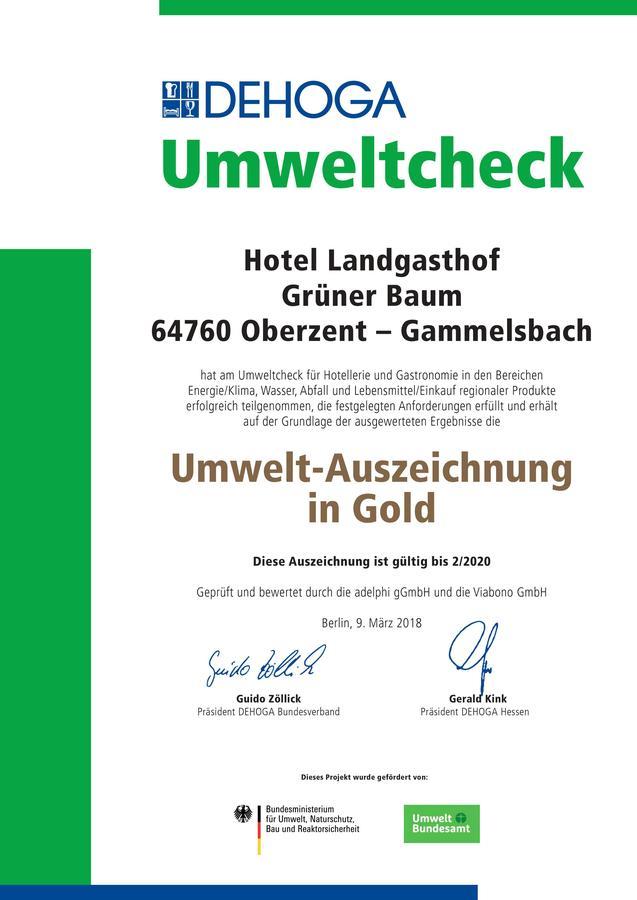 Hotel Gruener Baum Mit Restaurant & Wellness Oberzent Exterior photo
